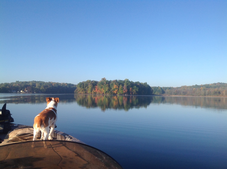 Dog Friendly Vacations Michigan Vacation Cabin Pet Friendly